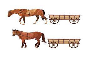 See more of coches de caballos para bodas y eventos on facebook. Coches De Caballos Historia Tipos Medios Modelos Carruajes Antiguos 2020 Razas De Caballos