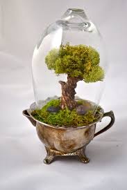 Tree Terrarium Beautiful Real Moss Terrarium Hand By Uniqueleeart 55 00 Beautiful Terrariums Miniature Trees Terrarium
