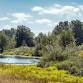 Bird Habitat Restoration at Marymoor Park —... event in Redmond, WA