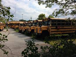 Image result for Toledo Orange 1995 Fleet