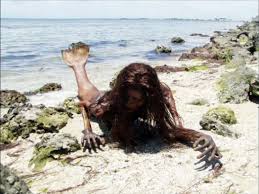 Image result for real mermaid
