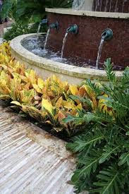 Check spelling or type a new query. Enh1181 Ep442 Twenty Two Ideas For A Low Care Low Cost Landscape