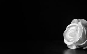 Категория:умершие в департаменте сена и марна (ru); Un Medecin Se Donne La Mort Dans Son Cabinet En Seine Et Marne