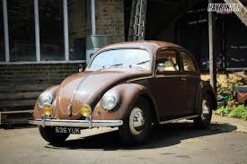 Image result for Medium Brown 1950 Beetle