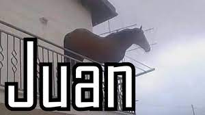 Juan meme ретвитнул(а)  victorino moya. Juan Leaves The Balcony Juan Horse Meme Youtube