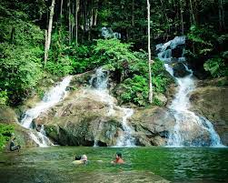 Graba tu propio recorrido desde la app, sube la ruta y compártela con la comunidad. Hutan Rekreasi Kanching Portal Rasmi Majlis Perbandaran Selayang Mps