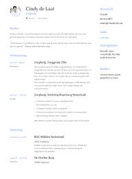 Zorghulp Cv Voorbeeld 12x Voor Een Perfect Cv Solliciteer Net