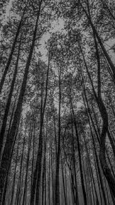 31 jujutsu kaisen wallpapers, background,photos and images of jujutsu kaisen for desktop hd jujutsu kaisen 4k wallpaper , background | image gallery in different resolutions like 1280x720. Argo Malfero Argomlf Profil Pinterest