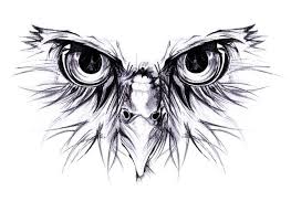 Owl Fierce Art Print By Dmtrs Owl Tattoo Drawings Owl Tattoo Design Owl Eye Tattoo