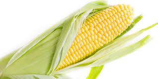 Maybe you would like to learn more about one of these? Mengandung Karbohidrat Pahami 6 Manfaat Baik Jagung Bagi Tubuh Bola Net