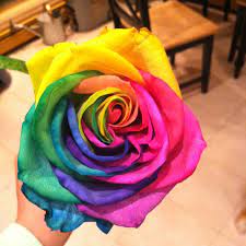We did not find results for: Pin By Melissa Skorka On Fun Stuff Tie Dye Roses Tie Dye Tattoo Tie Dye Diy