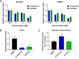 Cook's has been providing pest control, termite control, and mosquito control in your neighborhood for more than 90 years. Protein Kinase A Activation Inhibits Dux4 Gene Expression In Myotubes From Patients With Facioscapulohumeral Muscular Dystrophy Journal Of Biological Chemistry