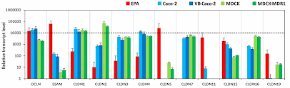 Maybe you would like to learn more about one of these? Frontiers Comparison Of A Rat Primary Cell Based Blood Brain Barrier Model With Epithelial And Brain Endothelial Cell Lines Gene Expression And Drug Transport Molecular Neuroscience