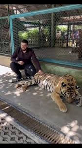 IRIS KIDS ERBIL جملە - مفرد (@iriskidserbil) | TikTok