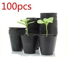 Welcome to dutch garden nursery. 100pcs Plastic Grow Box Fall Resistant Seedling Tray For Home Garden Plant Pot Nursery Transplant Pots Flower Pot Seedling Trays Buy At The Price Of 3 85 In Aliexpress Com Imall Com