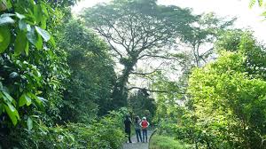 Green plan seeks to create new jobs, make use of sustainability as 'competitive advantage' for singapore. Singapore Unveils Green Plan 2030 Outlines Green Targets For Next 10 Years Cna