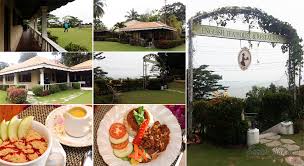 Dalam masa sama orang utan di beri kebebasan seperti tinggal di dalam hutan. Tempat Makan Best Di Sandakan Sabah Sunah Suka Sakura