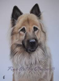 Check out our custom pet portrait selection for the very best in unique or custom, handmade pieces from our pet portraits shops. Fine Art By Claire Custom Pet Portraits Adopt A Pet