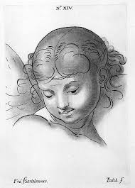 testa d'angelo stampa stampa di traduzione