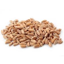 Spelt Grain Whole Kernel Hulled Organic Nz 25kg