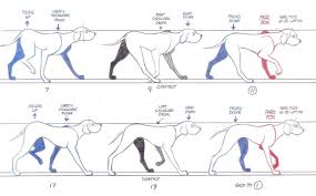 Dog Poses Buscar Con Google Animation Mentor Dog Animation Animation Sketches