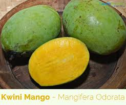 It is the national fruit of the philippines, and the country comes on number six after india, china, pakistan, brazil, and mexico in its production. Kwini Mango Facts And Health Benefits