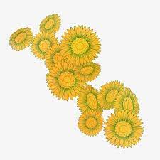 Daisy Green Flower Sunlight Hand Painted Cartoon Good Looking Beautiful Fragrance Yellow Many Flo Watercolor Flower Background Flower Clipart Sunflower Clipart