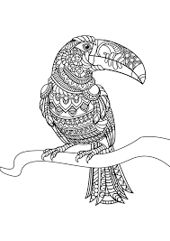 You can use our amazing online tool to color and edit the following toucan coloring pages. Free Book Toucan Birds Adult Coloring Pages