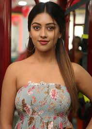 Anu emmanuel HD wallpapers | Pxfuel
