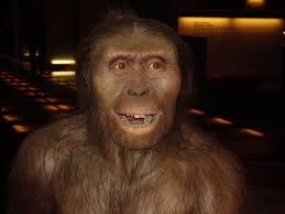 El Impacto de Lucy Australopithecus afarensis en la Paleontología