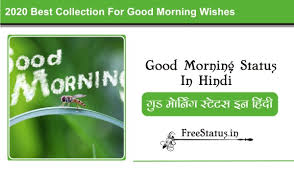 I hope you like this post and find all the best status in hindi that you like, in this post, you can find all the good morning. 30 Best Good Morning Status In Hindi 2021 Beautiful Good Morning Status Free Status
