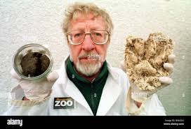 Devon thomas hi-res stock photography and images