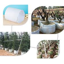 7 gallon ultra oxy pots. Pannow 10 Pcs Plant Nursery Bag 20 Gallon Grow Bags With Handles Fabric Root Container Plant Pots Growing Holder Planter Pot Pouch For Vegetables Carrot Tomato Onion Pricepulse