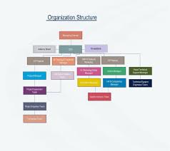 npse in team organisational structure