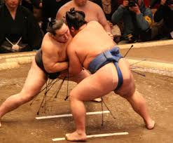 Maybe you would like to learn more about one of these? Sumo Wikipedia