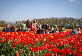 Dal parco di keukenhof alla borsa dei fiori ecco quando partire, dove andare e come fare per andare in vacanza tra le fioriture più belle. Tour Dei Tulipani In Bici E Barca In 5 Giorni