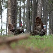 Four years after losing their son in a drunk driving accident, jack and sarah. Undertaker Undertaker Instagram Photos And Videos