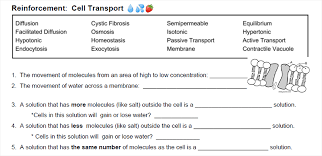 Some of the worksheets displayed are cellular transport review, cell review work key part a, , cell transport work, cell transport review work, cell review work key updated 2011 20121, name date period, name block date. Reinforcement Cell Transport