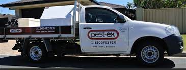 There are 5 customers that ❤ write your review. Pest Control Tweed Heads Pest Ex
