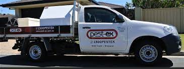 The team consists of 5 students and took 6 months of development time at vfs game. Pest Control Tweed Heads Pest Ex