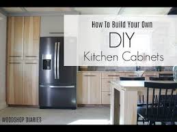 Custon Kitchen Cabinets Don T Have To Cost A Fortune If You Build Them Yourself I Ll Show You H Diy Kitchen Cabinets Plywood Kitchen Simple Kitchen Cabinets