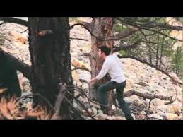 THE DAWN CHOSE ORION