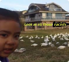 Maison Elliott McKay (@memckay41)