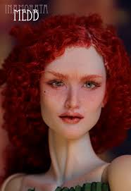 beautiful hair wig for every caision colour beautiful deep rd!