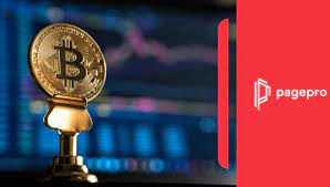 Meanwhile, reef finance announced the launch of the canary version of its mainnet. How To Efficiently Build A Cryptocurrency News Portal In 2021 Part I