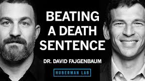 Every Cure: Repurposing Drugs for Rare Diseases: David Fajgenbaum at  NextMed Health