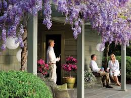 Image result for Wisteria landscaping ideas