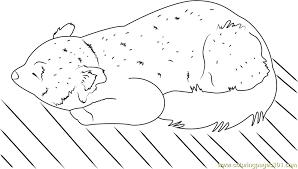 Or blue if youre a boy we have some very simple panda coloring pages for preschoolers and older kids and of course some detailed panda printables for adults. Red Panda Coloring Page For Kids Free Red Panda Printable Coloring Pages Online For Kids Coloringpages101 Com Coloring Pages For Kids