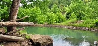 Devil's Den State Park Trails | Explore the Ozarks