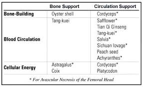 natural bone building synergy nutrition review